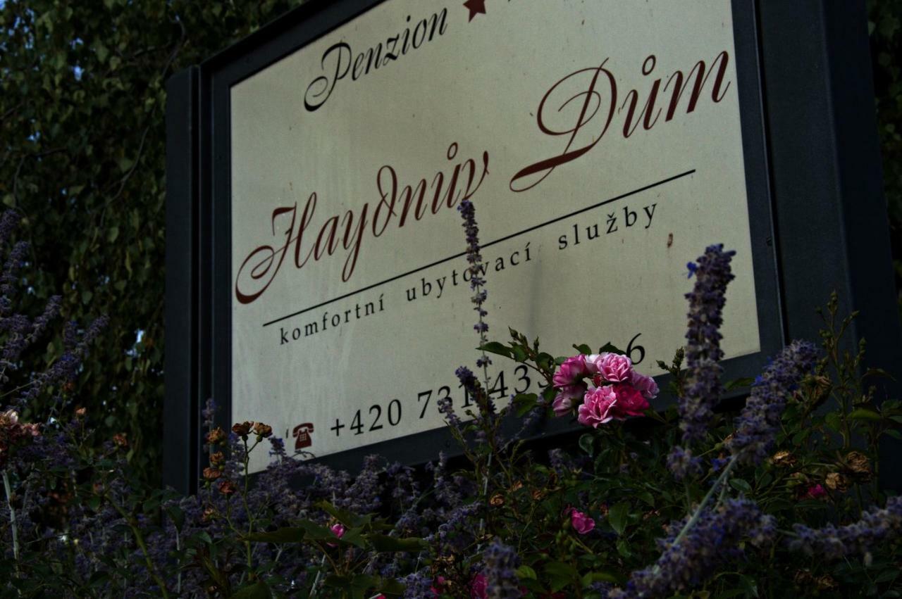 Penzion Haydnuv Dum Dolní Lukavice Exterior foto